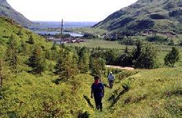 Hestadsundet, LO 301 i Dønna. klasse 3 Ravika-Sandvika, LO 913 i Bodø. klasse 3 Tv. Kaldvåg LO 1914 klasse 4 og Vågfjorden LO 1913 klasse 3 i Hamarøy. Th. Rolfsfjorden i Vestvågøy, LO 956, klasse 4.