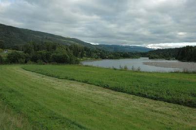 Sjeldne og typiske områder innen typen Det er kun 5 landskapsområder av denne daltypen og vi finner dem rundt tettstedene Trofors i Grane, Hattfjelldal (LO 885), Korgen (LO 1123) i Hemnes, Røssvoll