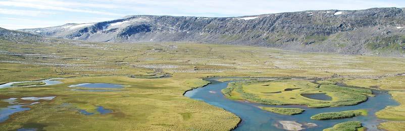 Regional variasjon fra grunnfjellsområder i nord med skrint høgfjellspreg, til midtre og sørlige områder som har større mangfold i vegetasjon og naturtyper, særlig ved Saltfjellet.