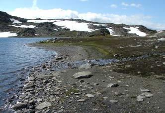 Båvrojàvvri i Tysfjord( google )(LO 1789, klasse 4) Nedre Veiskivatnet, Sørfold LO 2074 klasse 4 Vest for Simskardvatnet på Børgefjell, Hattfjelldal (LO 937, klasse 3) Foto: A.