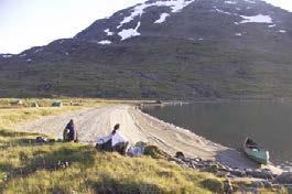 I den alpine vegetasjonssone gir dette et goldt høyfjellspreg som gir en samlet helhet og karakter.