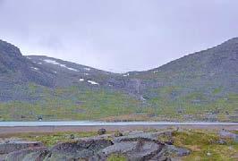 I den alpine vegetasjonssone gir dette et goldt høyfjellspreg som gir en samlet helhet og karakter.