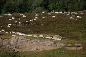 Beiardalen over (LO 444, klasse 3) har jord- og skogbruk, store utmarksbeiter, seterdrift med geit og skogbruk.