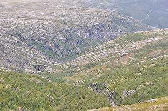 Åpen fjellbjørkeskog i nedre deler og ofte tette vierkratt og gras- og mosetepper i øvre deler og dalsidene. Typisk er små grunne elveløp, ofte forgreina gjennom de tykke løsmassene i dalbunnen.
