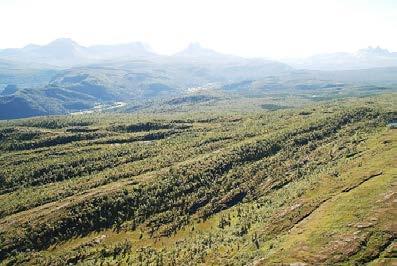 Inn mot Valmåsen i Hattfjelldal LO 891, klasse 2 Skoghøgda-Lauvsletta i Ballangen LO 1753, klasse 4 Åser med urørt preg på begge sider av Saltdalen, Rognan.