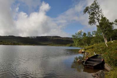 Variert vegetasjonspreg fra store og tette granskoger sør for Saltfjellet til mer variasjon i nordlig del med tette lauvskoger og åpen kystfuruskog i kystnære strøk.