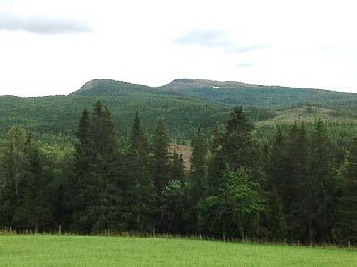 Stedvis sterkt urørt preg Endringsfaktorer som kan påvirke landskapskarakteren.