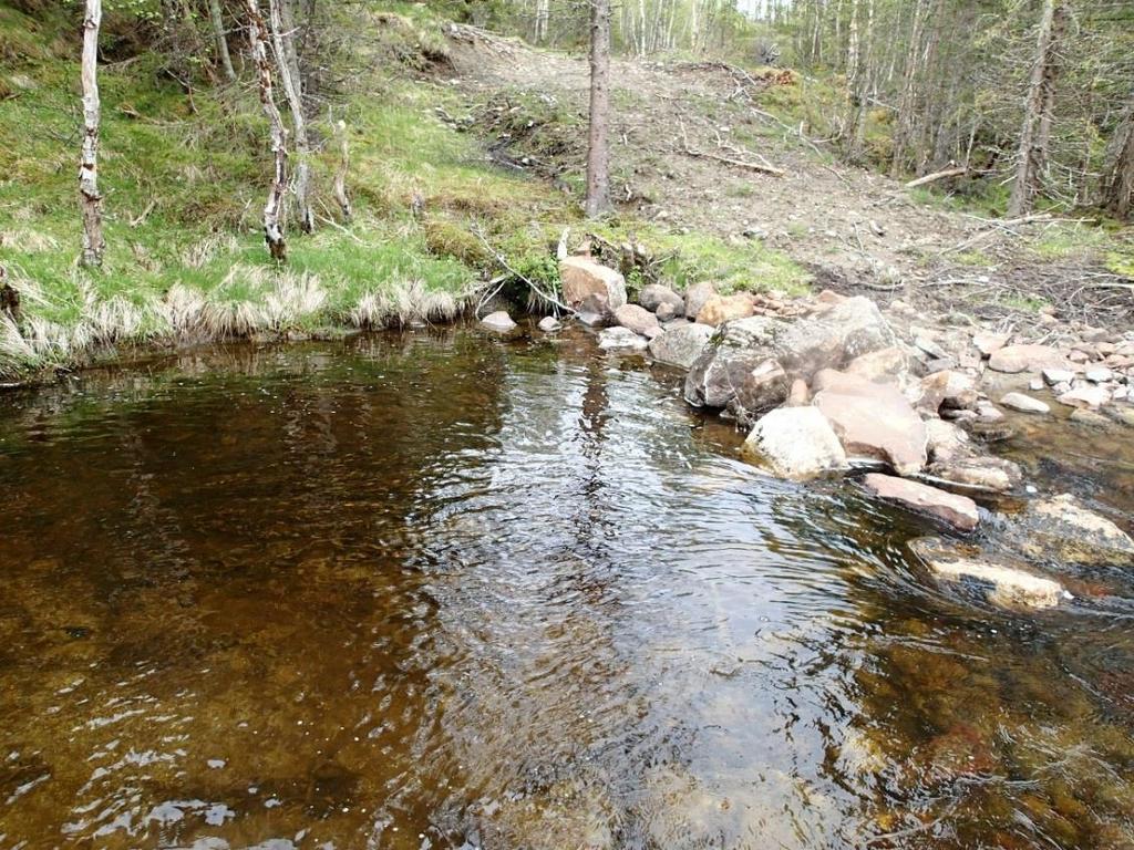 Figur 17 Trasé over elva I området med tellestasjoner. Den midtre tellestasjonen gjort til venstre for traséen på bildet.