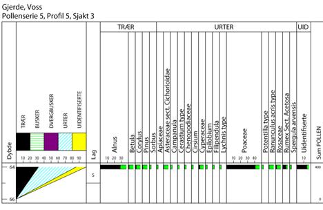 23 Fig. 13: Pollendiagram PS5 fra profil 5, sjakt 3. Diskusjon og oppsummering De fleste pollenprøvene som er analysert var relativt artsfattige og representerer et helt lokalt kildeområde.