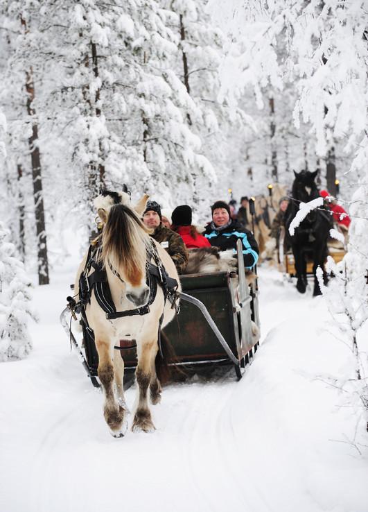 Trysil Knuts Fjellgrend Kontaktinformasjon selger: