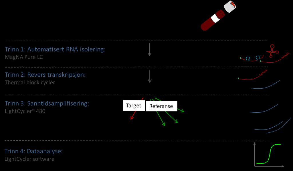 Figur 7: Hovedtrinnene for kvantifisering av ABCB1-genekspresjon i fullblod. Trinn 1: Total-RNA isoleres fra fullblodprøver. Trinn 2: RNA fungerer som templat for cdna-syntese.
