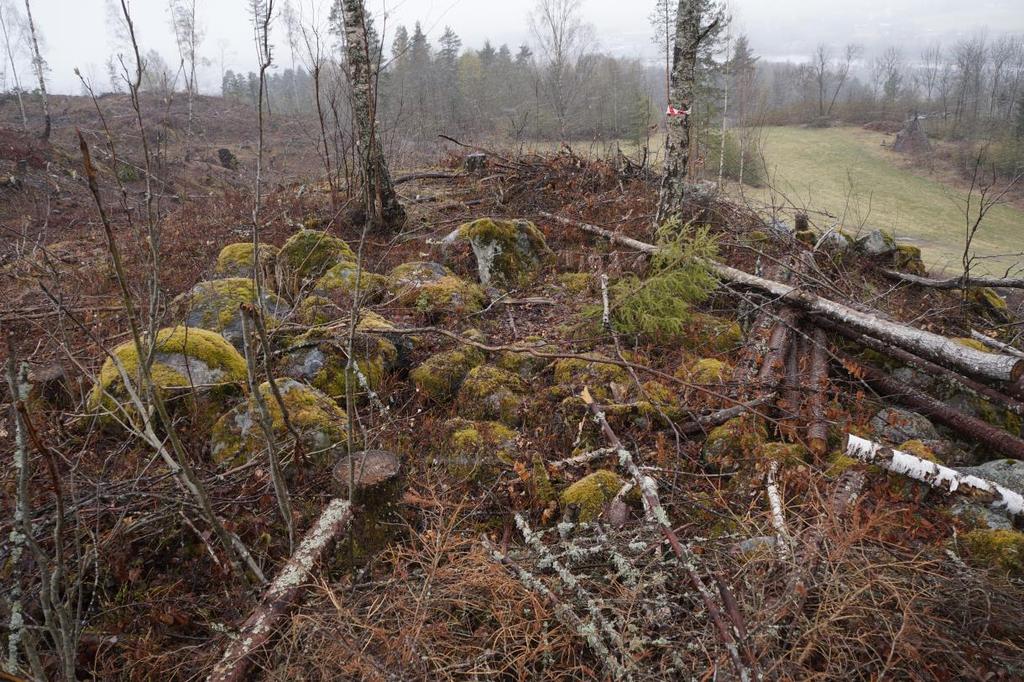 Rydningsrøys 2, 229182-2 I skråning på nordsiden av kollen hvor steinstrengen ligger: rydningsrøys med store stein i størrelse 20x10 til 30x50 cm. Røysa måler omtrentlig 10x13 meter.