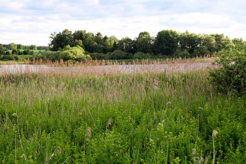 Foto Hans Petter Kristoffersen Østensjøvann naturreservat, Ås Kartlegging av