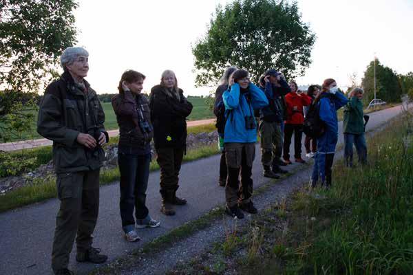 Generelt om fuglelivet Totalt ble det observert 44 arter under takseringsperioden.