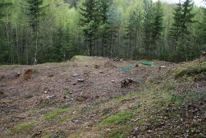 Undergrunnen bestod av rødbrun silt med gulspettet grus og småstein.