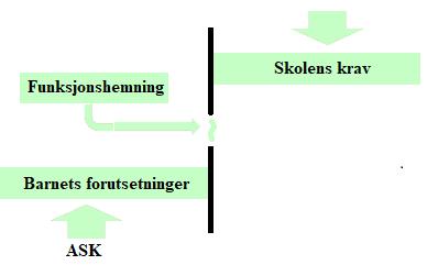 Det er ingen selvfølge at barn med nedsatt funksjonsevne blir funksjonshemmet, da en funksjonsnedsettelse ikke behøver å resultere i begrensninger i samfunnsmessig deltakelse.