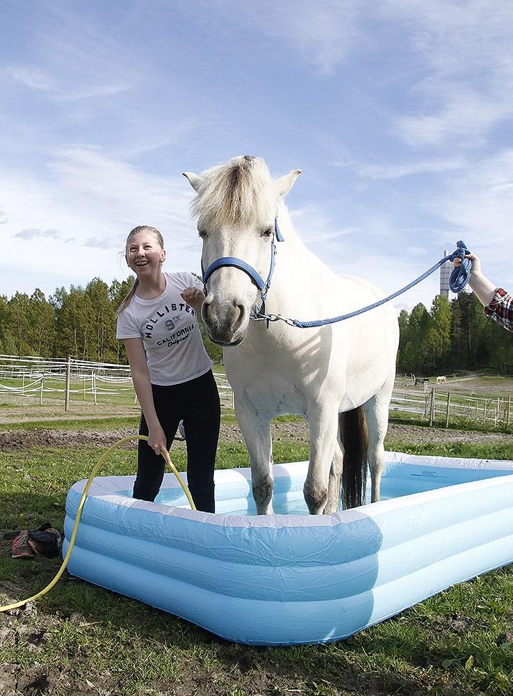 en meningsfull omgang med dyrene og anlegget. For å virkeliggjøre denne visjonen har vi gjennomført ulike aktiviteter for å skape samhold, trygghet og glede.