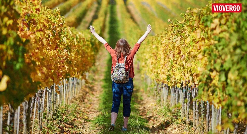 1 FOTTURER OG KULTUR I TOSCANA Vandring i Toscanas fantastiske landskap er en helt spesiell opplevelse.