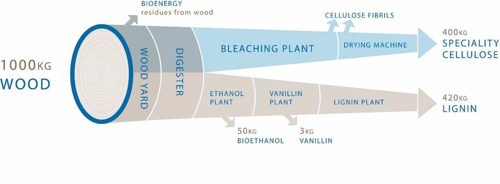 Operates the world s most advanced biorefinery Integrated production system serving diverse markets Integration models: Own integrated Partner integrated Independent End markets 2017 SPECIALITY