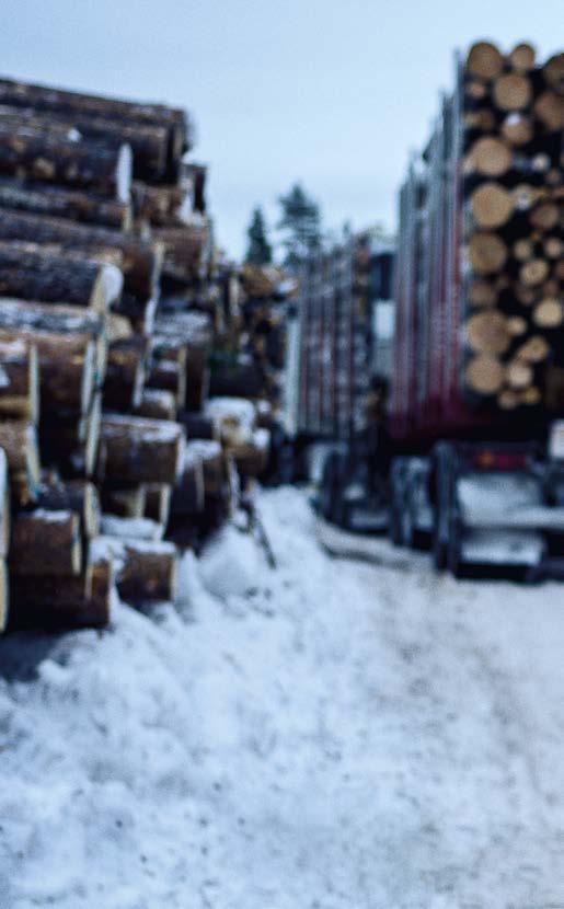 PETRI PASANEN Historier fra landeveien Petri Pasanen bor i Ivalo, helt nord i Finland. Han transporterer tømmer med Volvo-lastebilen sin og holder skogsveiene snøfrie for andre tømmerlastebiler.