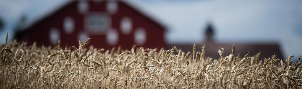 Landbruks- og matdepartementet Nasjonale føringer og forventninger til fylkeskommunen som samfunns- og næringsutvikler, med