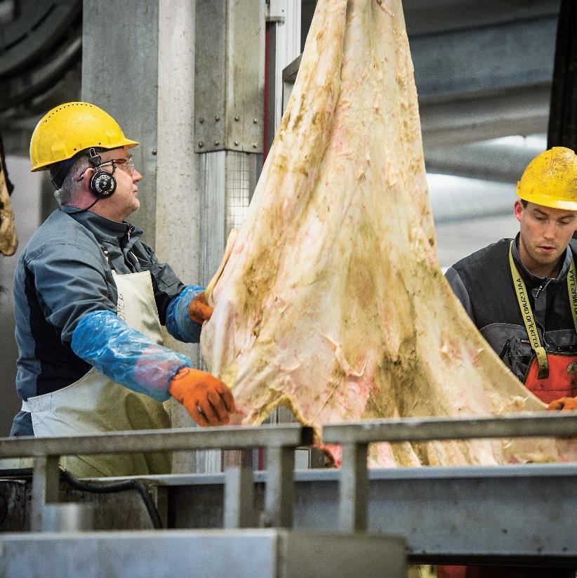 Både regjering og næring opptatt av kompetanse på alle nivå Må se sammenhengen gjennom hele utdanningsløpet til og med forskning.