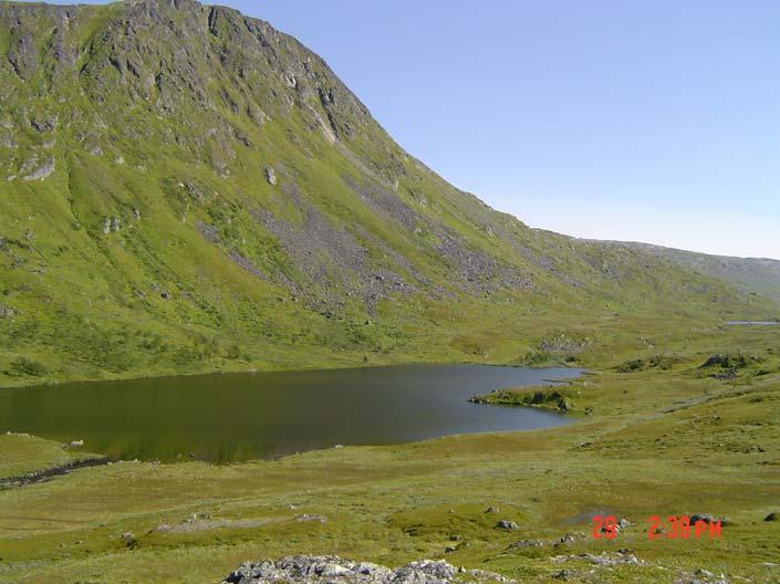 Det øvre landskapsrommet domineres av Lille Synnøvjordvatnet inkludert det lille vatnet nedstrøms og de høye fjellene som omkranser disse.