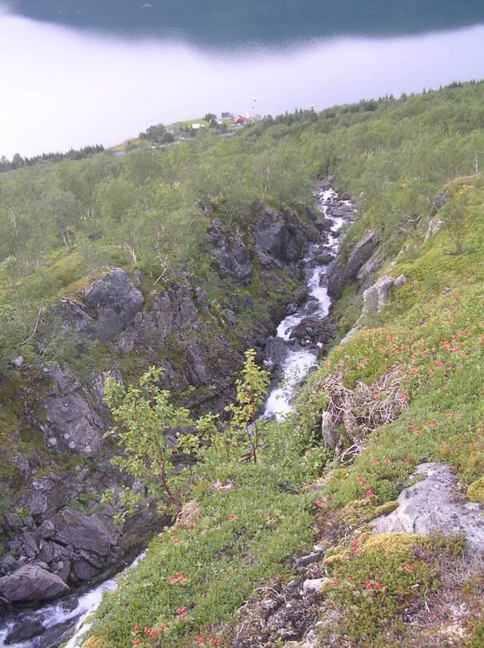 utløp i Nordfjorden Utsnitt nedover