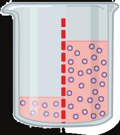 CelleMeMbranen og MeMbranproteiner Transport over cellemembranen Blæretransport - Transport i vesikler 1. Eksocytose (transport ut av cellen) - Transport av stoffer fra cytoplasma til cellens utside.