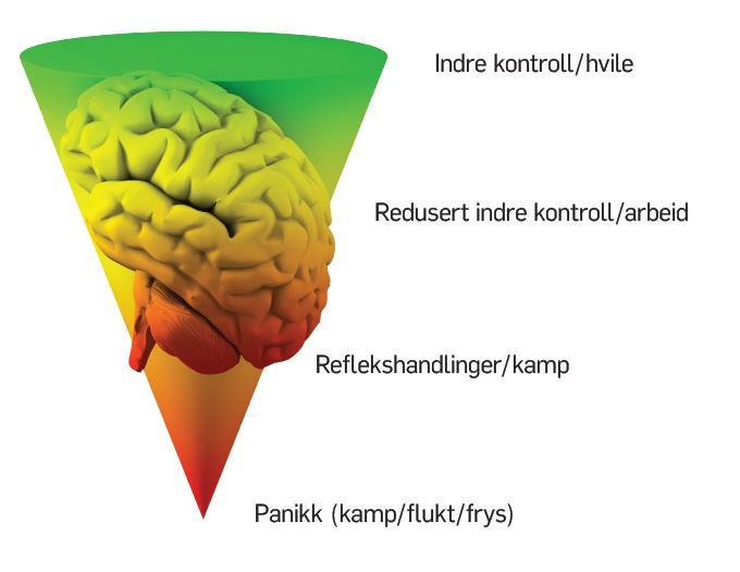 Egenregulering