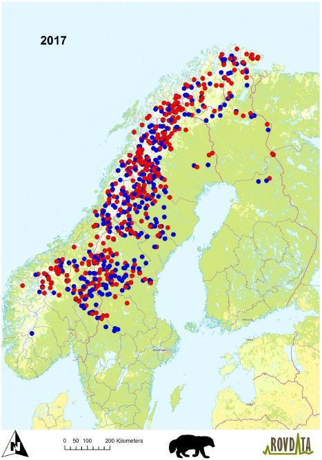 Jerv påvist ved DNA-analyser i Nordland NINA Rapport 1483 DNA-basert overvåking av den skandinaviske jervebestanden 2016 og 2017 viser at det ble påvist 77 ulike jerver i Nordland vinteren 2016 og 61