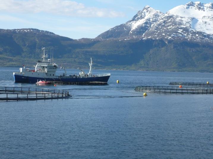 Oppsummering Fiskens velferd rundt slakting er viktig For fisken For kvaliteten For renomméet Slaktebedøving