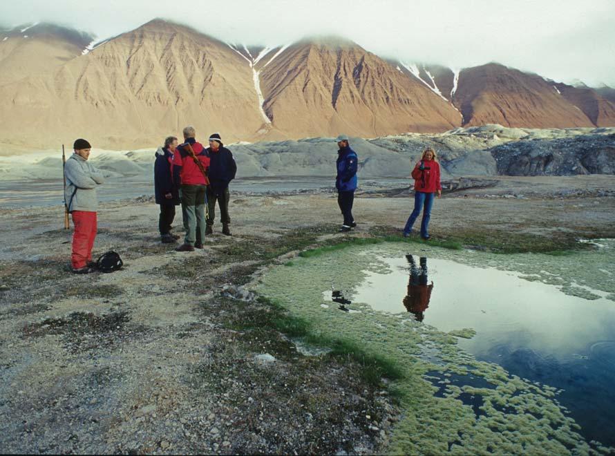 Pioneren i petroleumsletingen på Svalbard var Norsk Polar Navigasjon A/S. De satte allerede i 1963 i gang boring med enkelt utstyr ned til omlag 1.000 m.