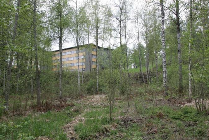 Venstre: Smal kantsone av gråorheggeskog mot grusvegen i området. Høyre: Parkpreget skog med bjørk og osp opp mot Bø hotell/gullbring studenthybler.