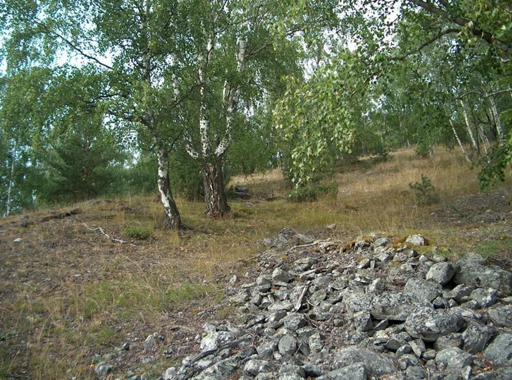 Hagemark På rasmark eller i bratte søreller vestvendte lier med grunt jordsmonn og kalkrik berggrunn Særlig spesiell insektfauna, men