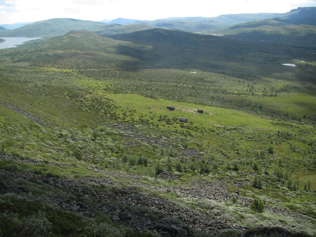 Seterlandskap/stølslandskap viktig