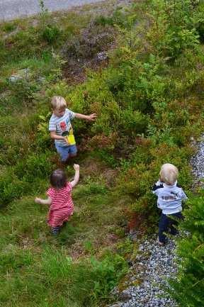 kunnskap og næring.