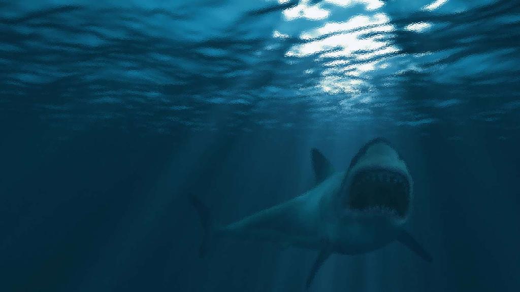 Haikjeften kan lukkes Gjøre mindre Øke skattene Jobbe mer Jobbe
