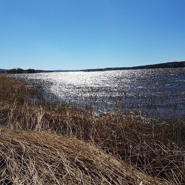 VEDLEGG 3 FAKTAARK: INNSJØER ISESJØ, NORD Bilde 2.5.27, Jan Fr.