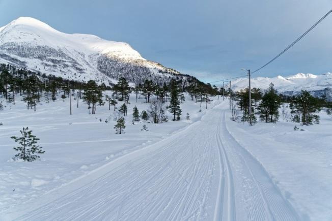 Skjortarennet ble dette året avlyst pga. lite snø i nedre del av løypa, samt noe usikre værmeldinger.