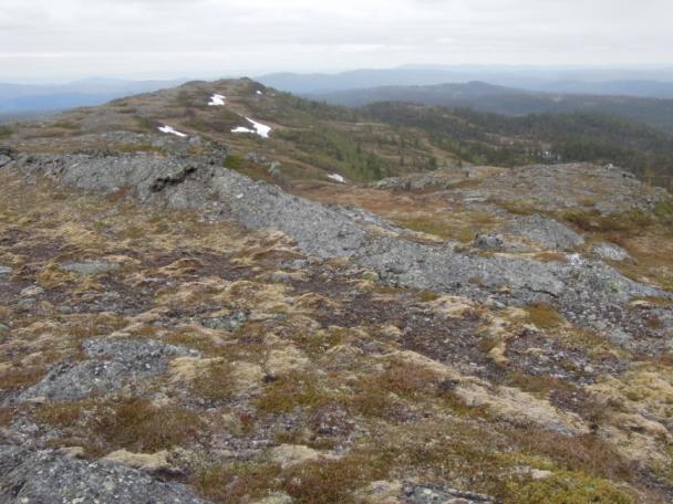 En 420 kv kraftlinje mellom Nea og Klæbu går gjennom den nordlige, skogkledde delen av Brungmarka nord for planområdet.