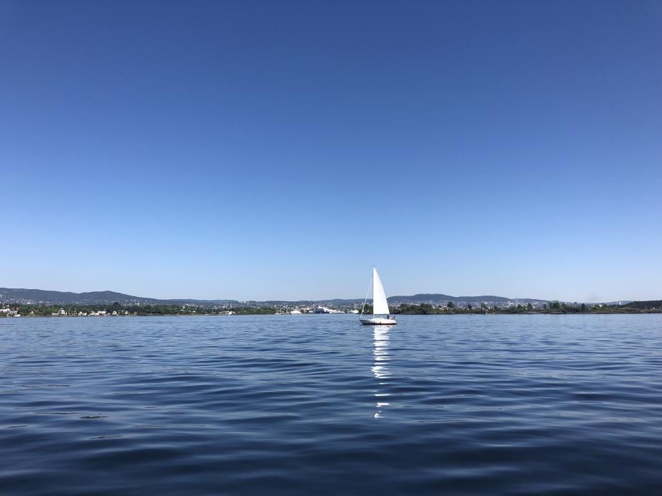 Resultater - Temperatur Dk1 (Vestfjorden) Mai 2016 Mai 2017 Mai 2018 Figurene over viser temperaturen (farget blå stiplet linje) gjennom vannsøylen i mai 2016, 2017 og 2018 ved Dk1 i Vestfjorden.