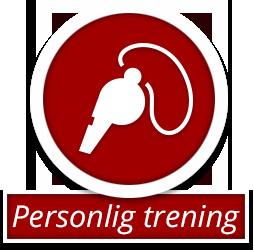 FOTBALLPROGRESJON NORGE FPN har posisjonert seg som Skandinavias fremste aktør innen organisert personlig trening og spesialisert spillerutvikling for unge fotballspillere.