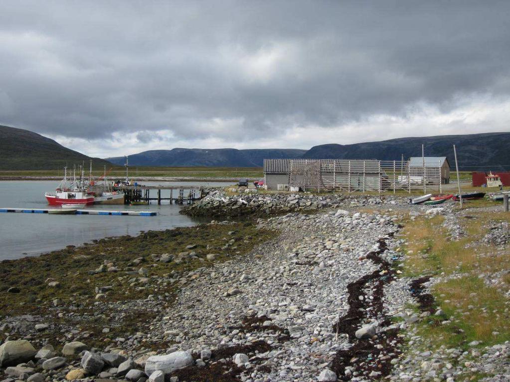 Utkast til Havnekrav - vedlikeholdsmudring Veidnes havn 1. Havnekrav forslag til vedtak: Lebesby kommune fremmer havnekrav og ber Kystverket snarest igangsette vedlikeholdsmudring av Veidnes havn.