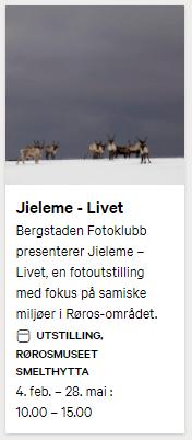 Båatsoe Sørsamisk reindrift (Bente Haarstad, foto), 11 samiske tidsbilder (Jorun Eikjok,