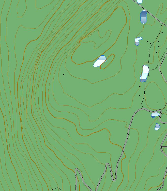 Koloberget, (Sel). Grenser for verneverdig skogområde.