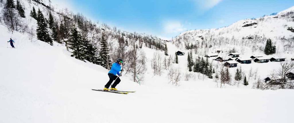 ALPINANLEGG LIKE VED Hytteområdet har en meget sentral og