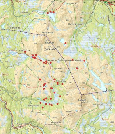 Forvaltningspraksis ble evaluert november 2014 Beholde gjeldende praksis med noen justeringer 3-årige dispensasjoner Innstramming vedr.