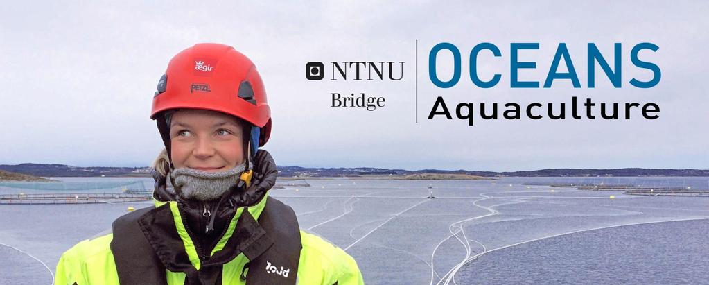 NTNU Bridge OCEANS Aquaculture Ny portal for