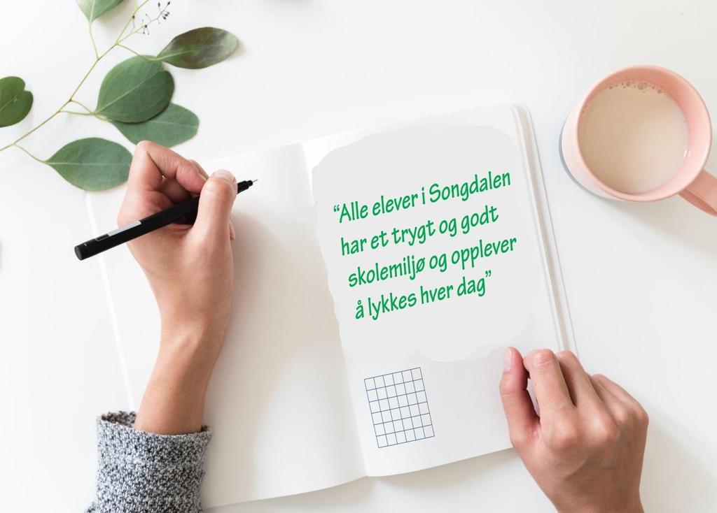 Slike trygge og bekreftende omgivelser motiverer til både faglig og mellommenneskelig utvikling. For å oppfylle Opplæringsloven og nå dette målet, jobber vi på flere nivåer.